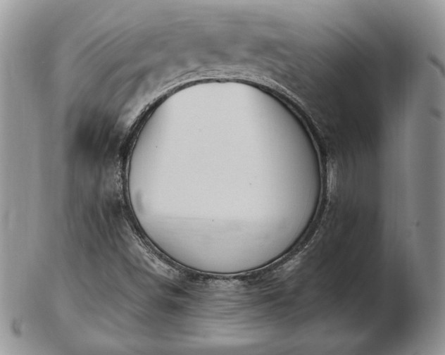X0000102871498200808251229