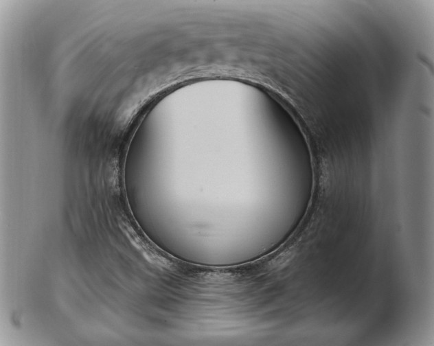 X0000102871499200808251229