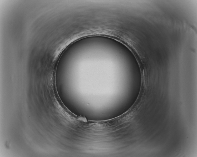 X0000102871500200808251229