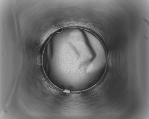 X0000102871501200808251229