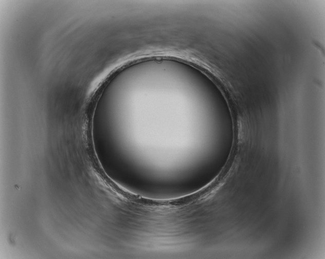 X0000102871502200808251229