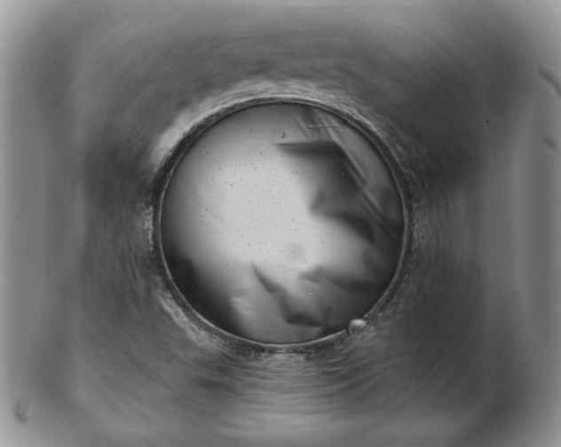X0000102871503200808251229