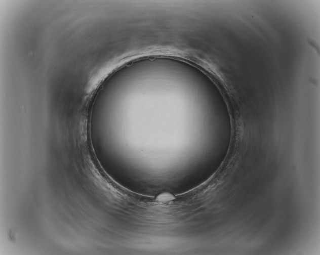 X0000102871504200808251229