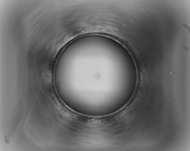 X0000102871505200808251229