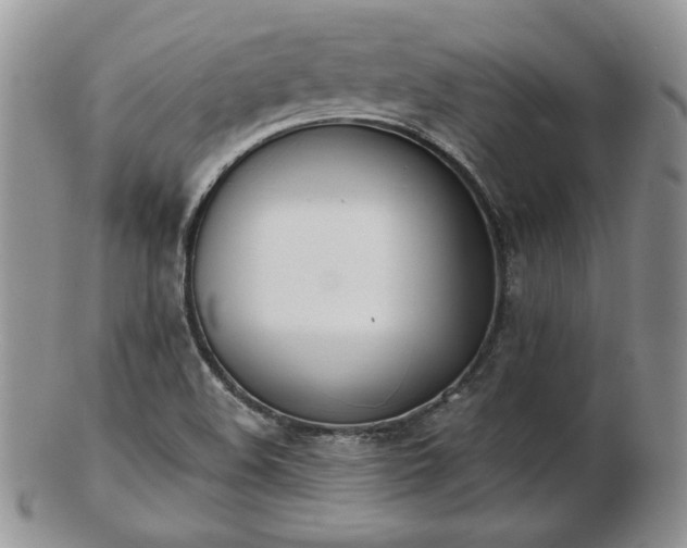 X0000102871508200808251229