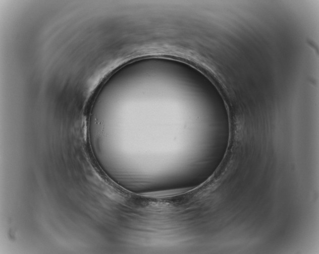 X0000102871509200808251229