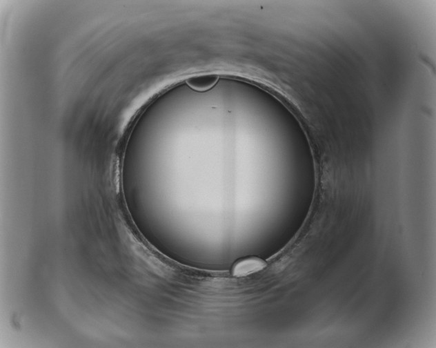 X0000102871510200808251229