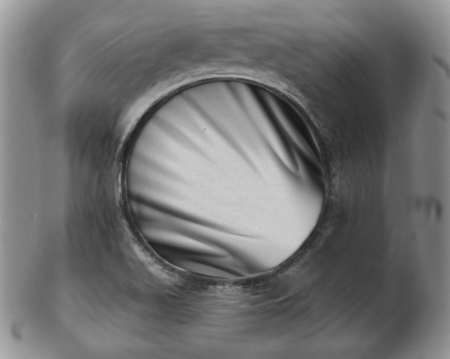 X0000102871511200808251229