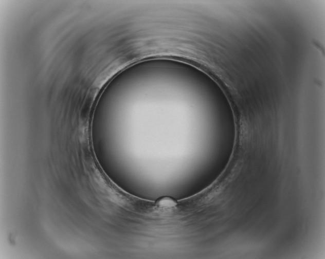 X0000102871513200808251229