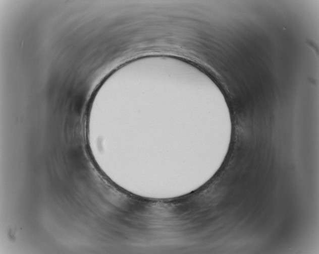 X0000102871514200808251229
