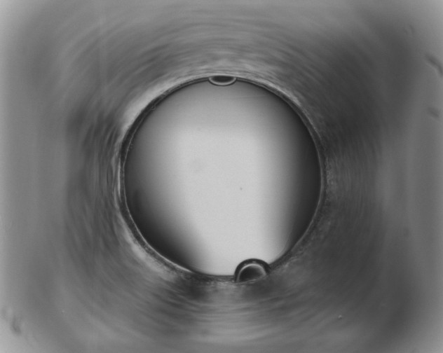 X0000102871515200808251229