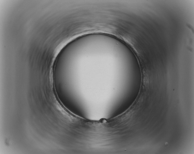 X0000102871516200808251229