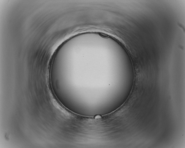 X0000102871518200808251229