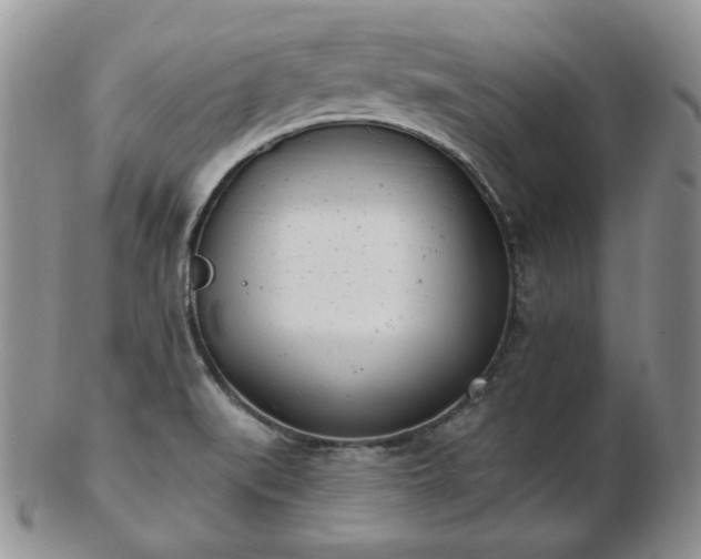 X0000102871519200808251229