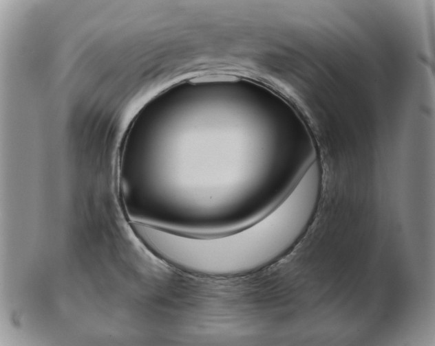 X0000102871520200808251229