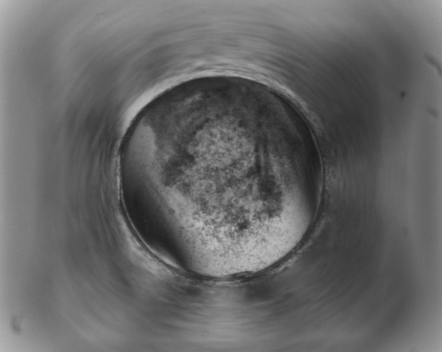 X0000102871522200808251229