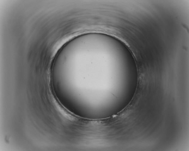 X0000102871523200808251229