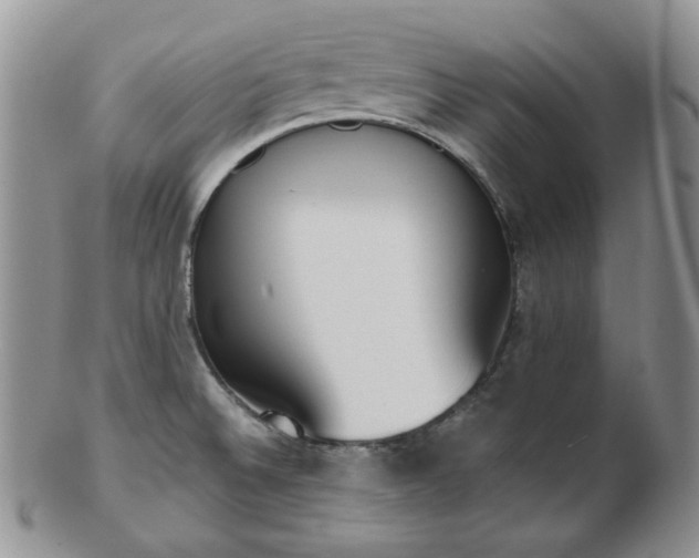X0000102871524200808251229