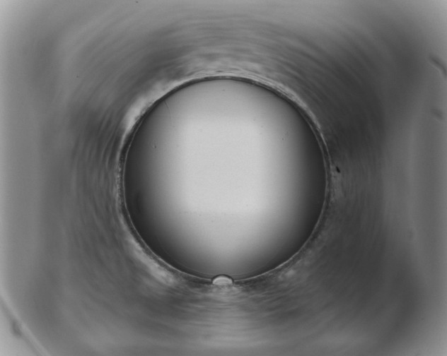 X0000102871525200808251229
