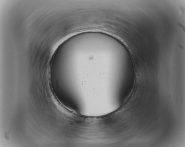 X0000102871526200808251229
