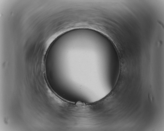 X0000102871527200808251229
