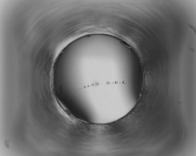 X0000102871528200808251229