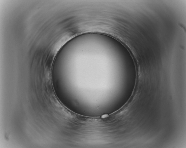 X0000102871529200808251229