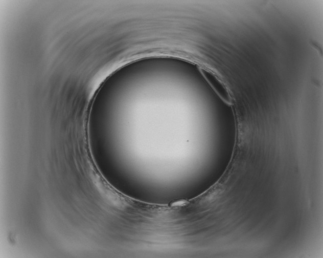 X0000102871530200808251229