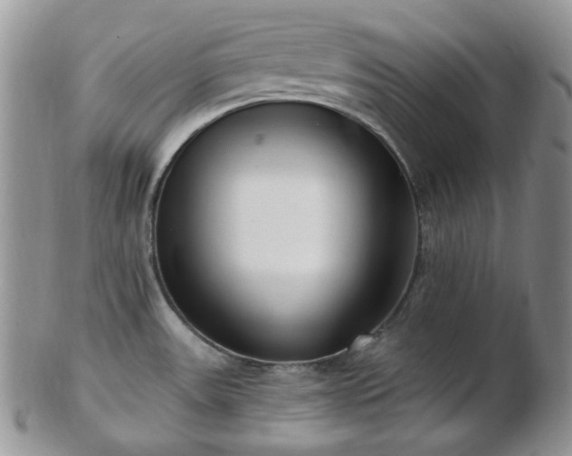 X0000102871531200808251229