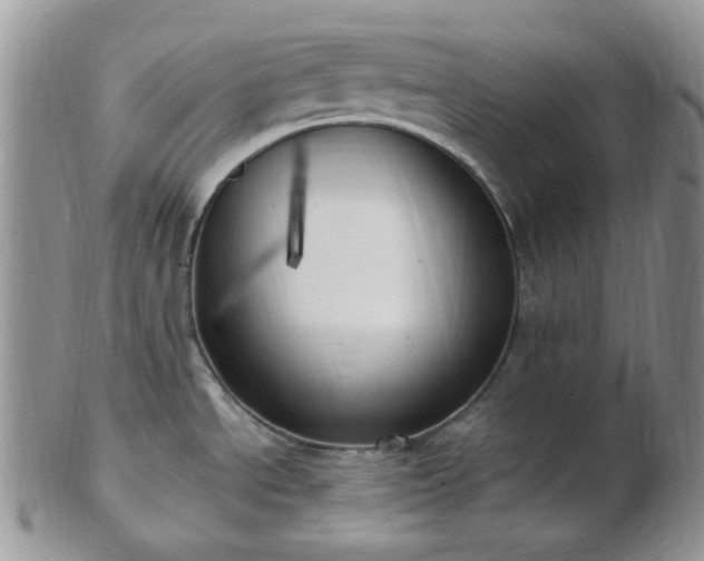 X0000102871534200808251229