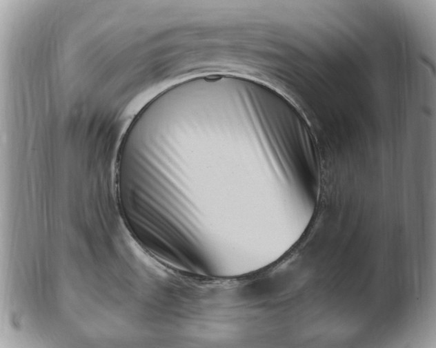 X0000102871535200808251229