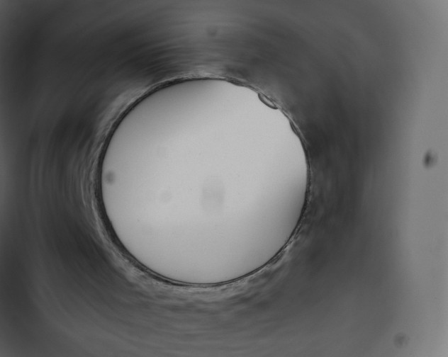 X0000102870001200809021459