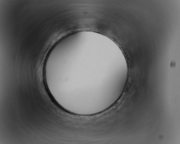 X0000102870002200809021459