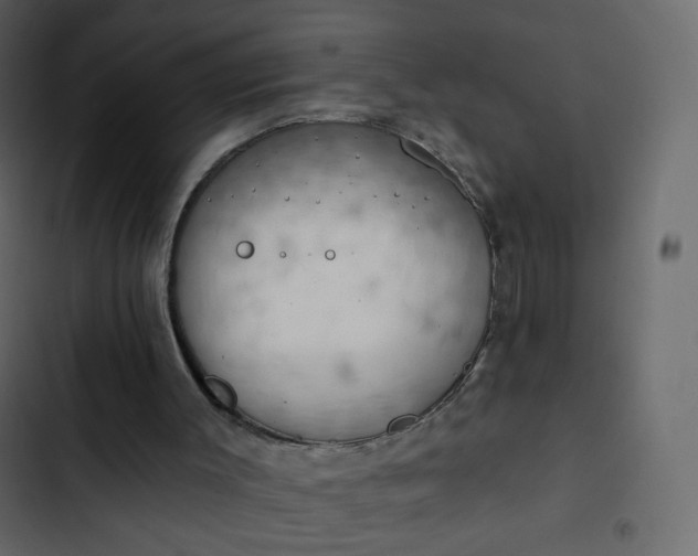 X0000102870003200809021459