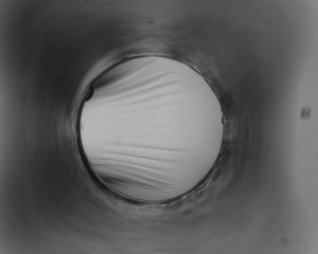 X0000102870004200809021459