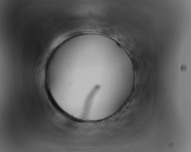 X0000102870005200809021459