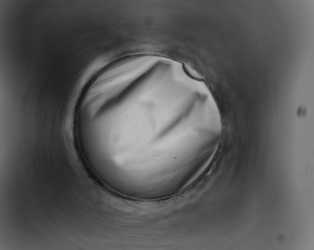 X0000102870006200809021459