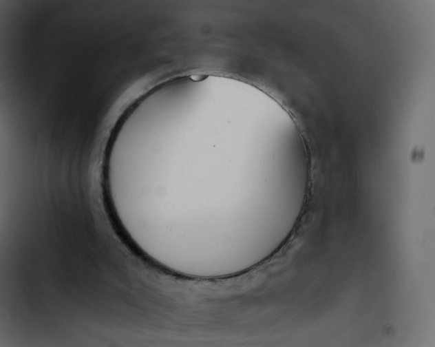 X0000102870007200809021459