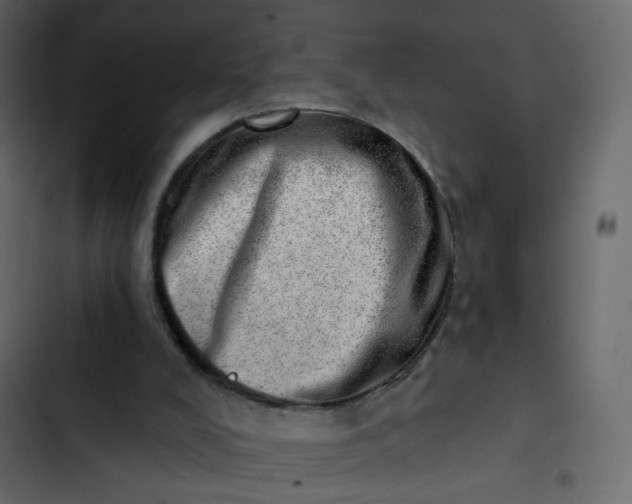 X0000102870008200809021459