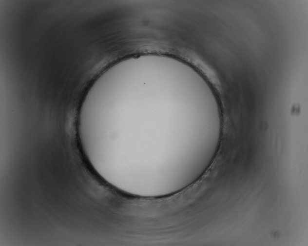 X0000102870009200809021459