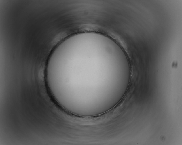 X0000102870010200809021459