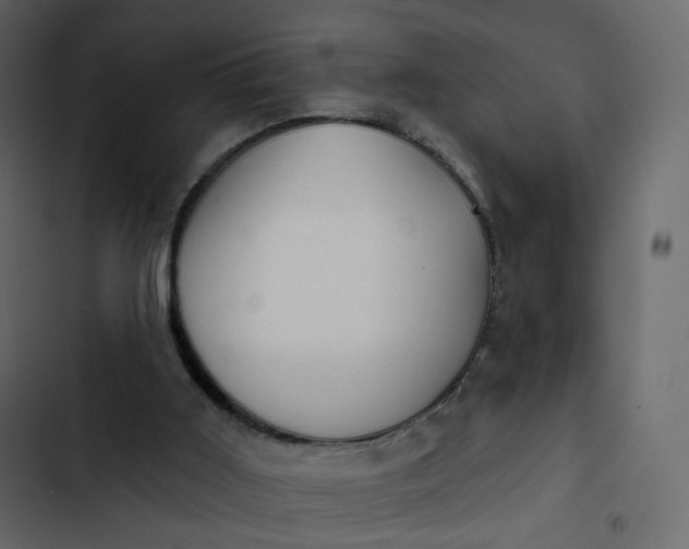 X0000102870011200809021459