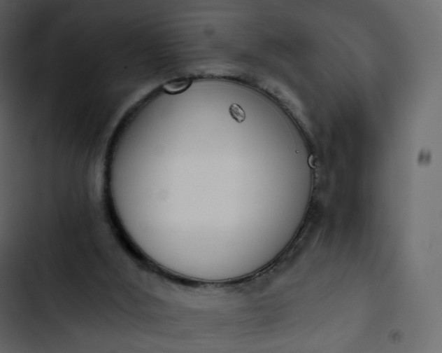 X0000102870012200809021459