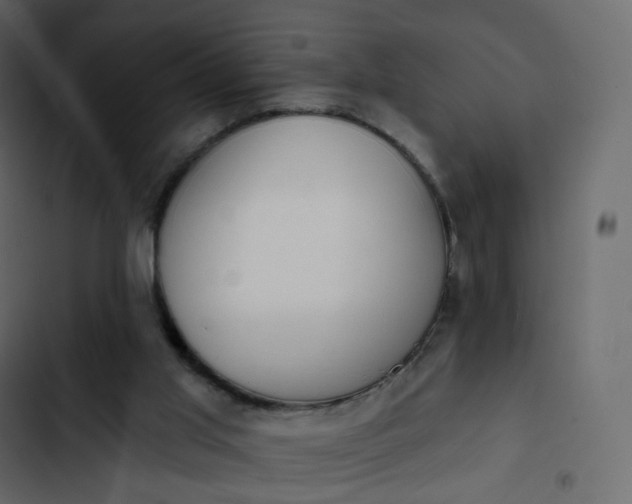 X0000102870013200809021459