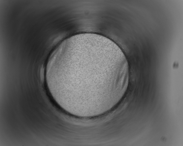 X0000102870014200809021459