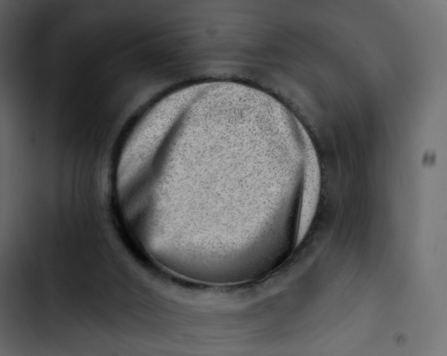 X0000102870016200809021459