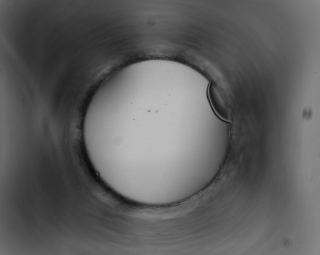 X0000102870017200809021459