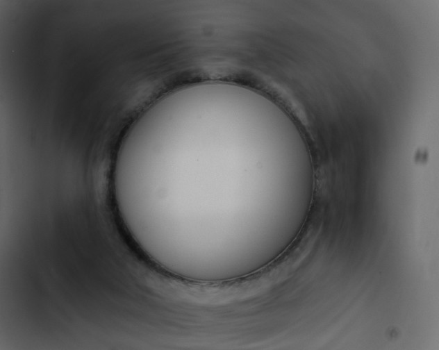 X0000102870018200809021459