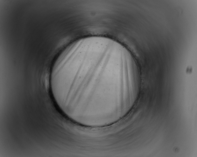 X0000102870019200809021459