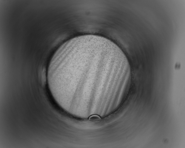 X0000102870020200809021459